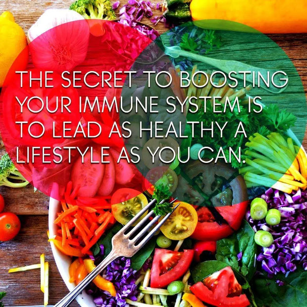 How To Boost Your Immune System! CE digital downloads