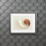 Fine Art Prints/Modern Abstract Wall Art