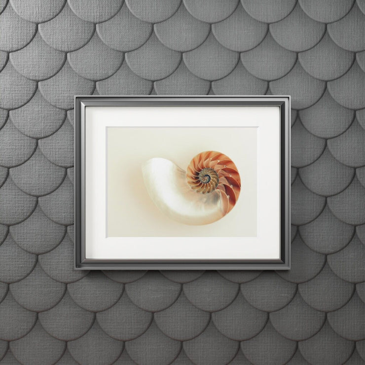 Fine Art Prints/Modern Abstract Wall Art