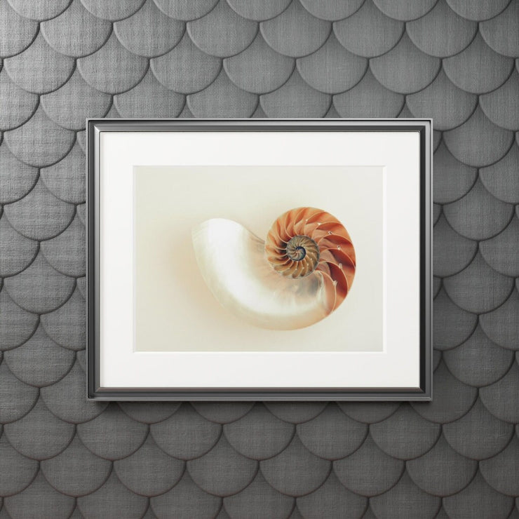 Fine Art Prints/Modern Abstract Wall Art