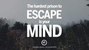 Freedom and Forgiveness: Free Yourself From Your Mental Prison Self help Digital Ebook. CE Digital Gift Store